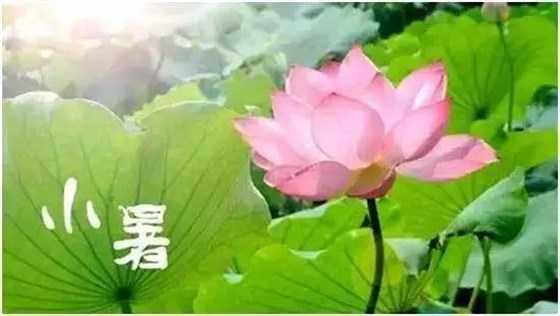 821255c053924bc39c37cde6fd049cbb.jpeg 821255c053924bc39c37cde6fd049cbb.jpeg