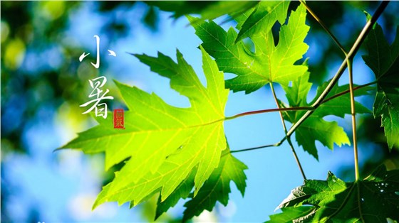 微信图片_20220707083013.png 微信图片_20220707083013.png