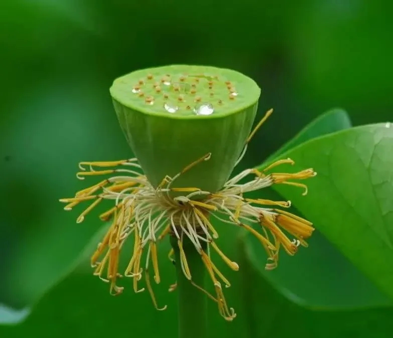 640.webp (8).jpg 640.webp (8).jpg