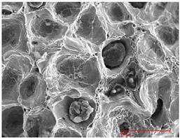 图片28.jpg 图片28.jpg