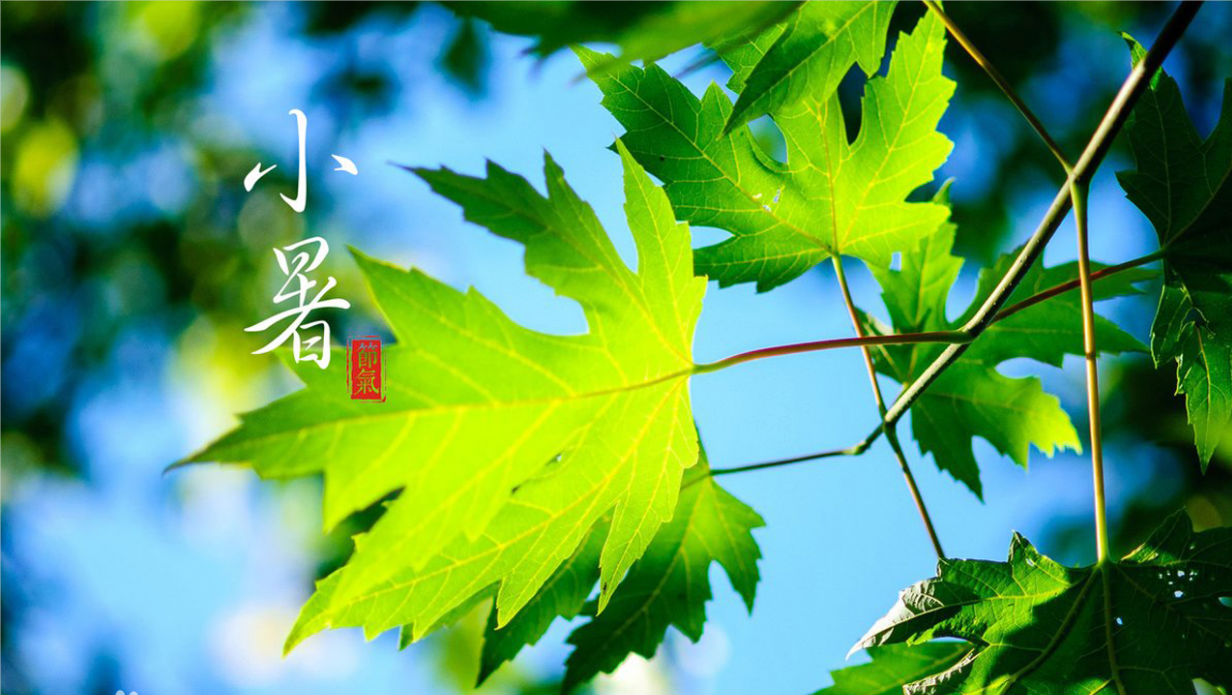 微信图片_20220707083013.png 微信图片_20220707083013.png